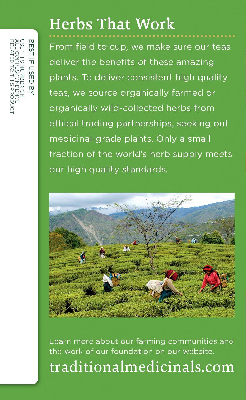 Traditional Medicinals Organic Green Tea Lemongrass Herbal Tea, Health Support, (Pack of 2) - 32 Tea Bags Total - Image 4