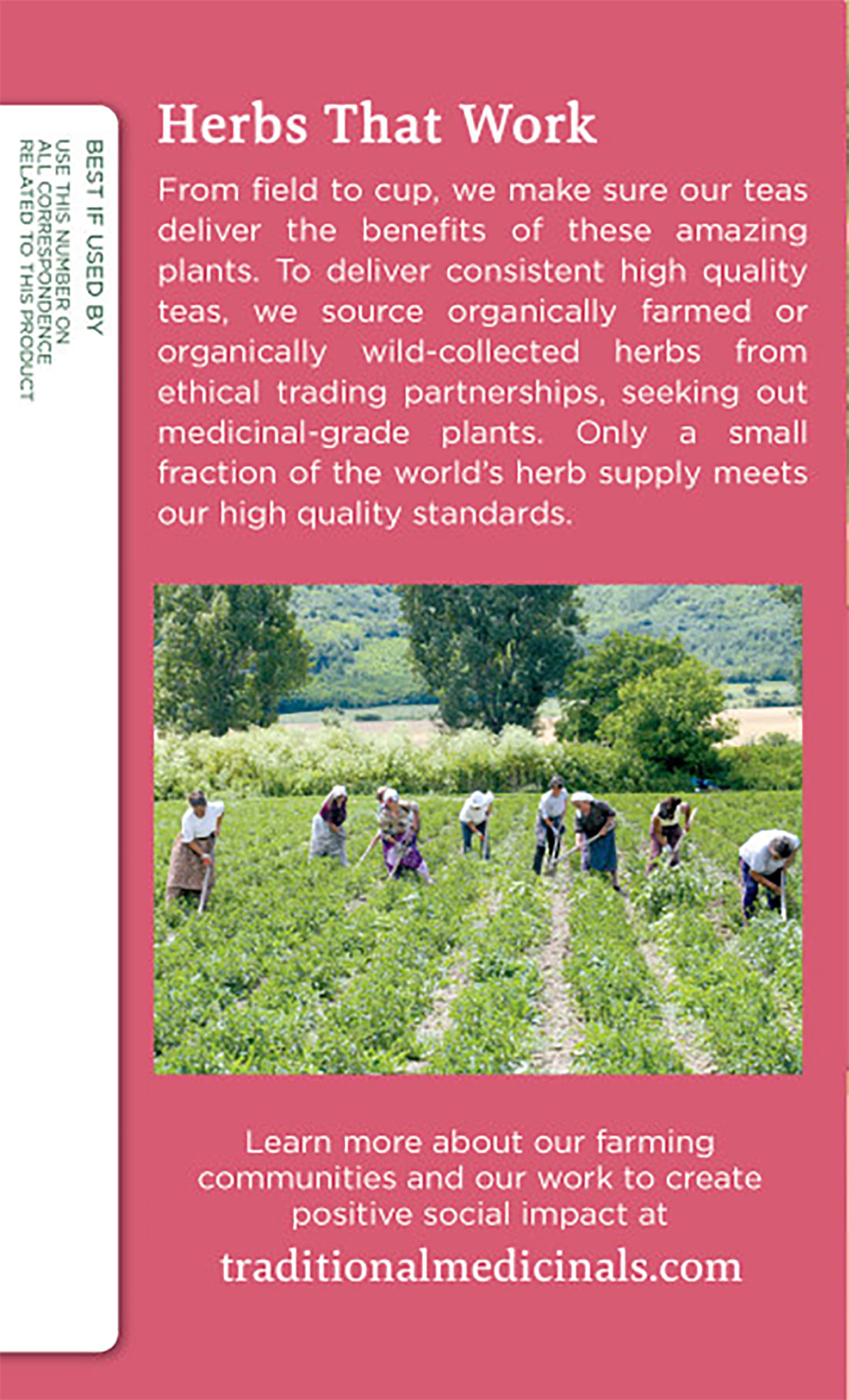 TRADITIONAL MEDICINALS HERB TEA,OG1,PREGNANCY, 16 BAG - Image 4