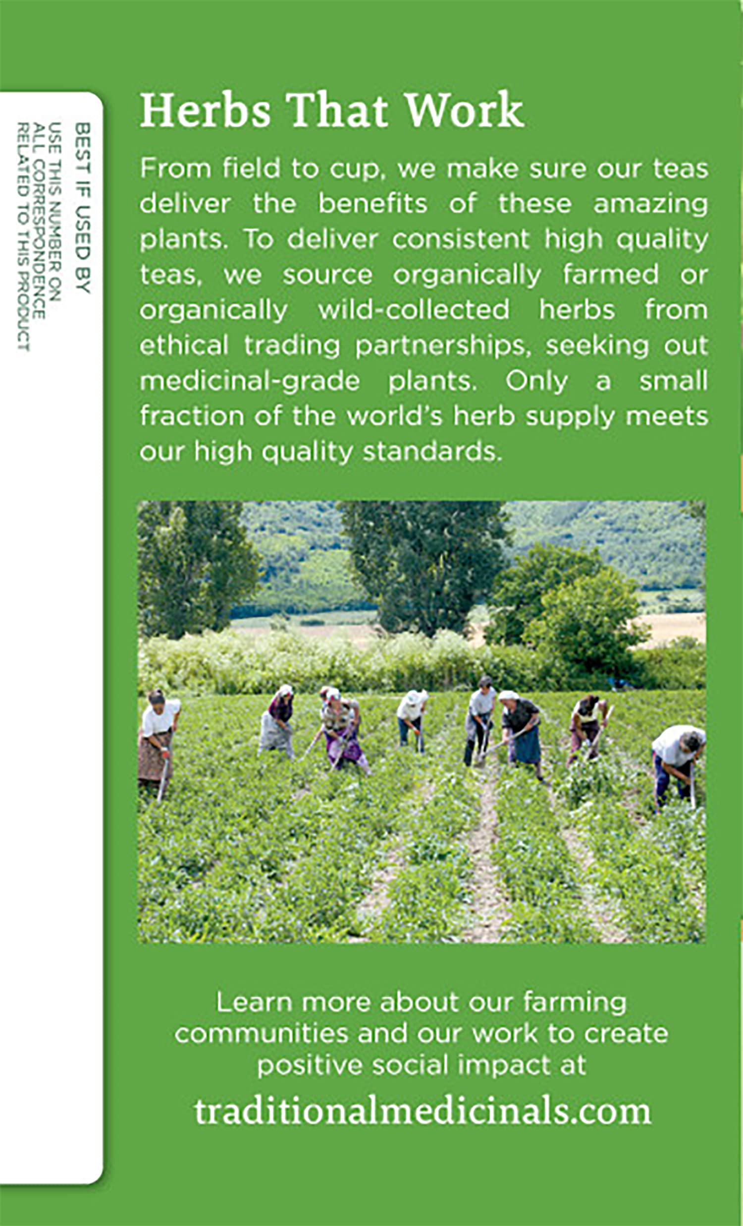 Traditional Medicinals Organic Green Tea Peppermint Herbal Tea, Alleviates Digestive Discomfort, (Pack of 3) - 48 Tea Bags Total - Image 4