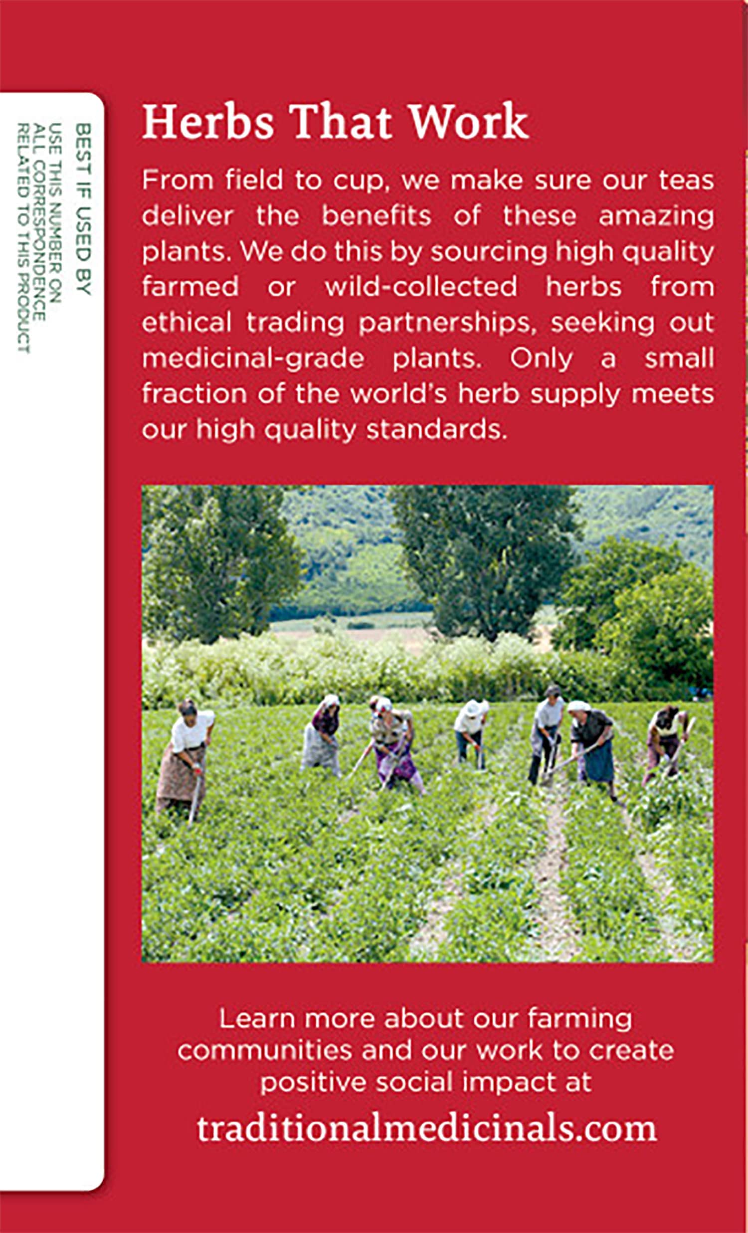 Traditional Medicinals Organic Herbal Cold Care Elderflower Spice Herbal Tea, Warm & Comforting Seasonal Wellness, (Pack of 1) - 16 Tea Bags - Image 3