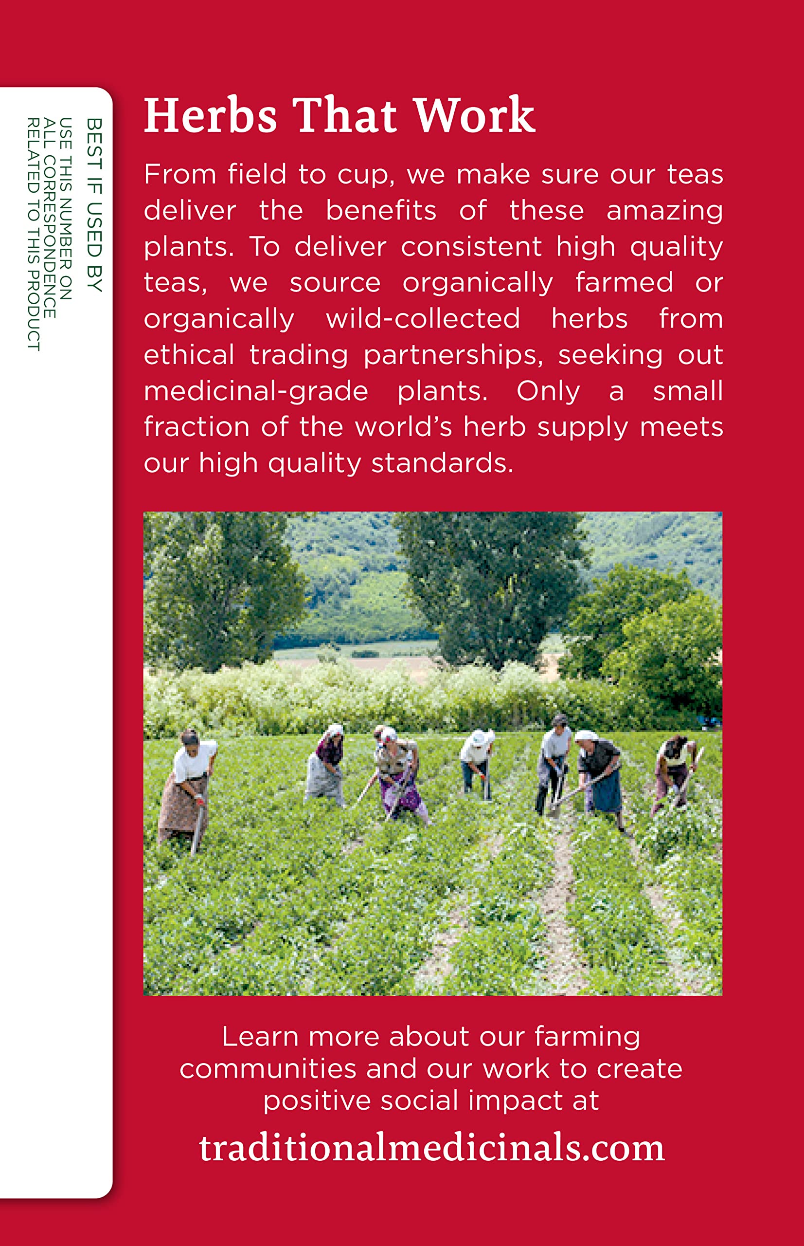 Traditional Medicinals, Organic Immune Zoom Echinacea Elderberry Tea Immune Elderberry, 16 Count (Pack of 2) - Image 4