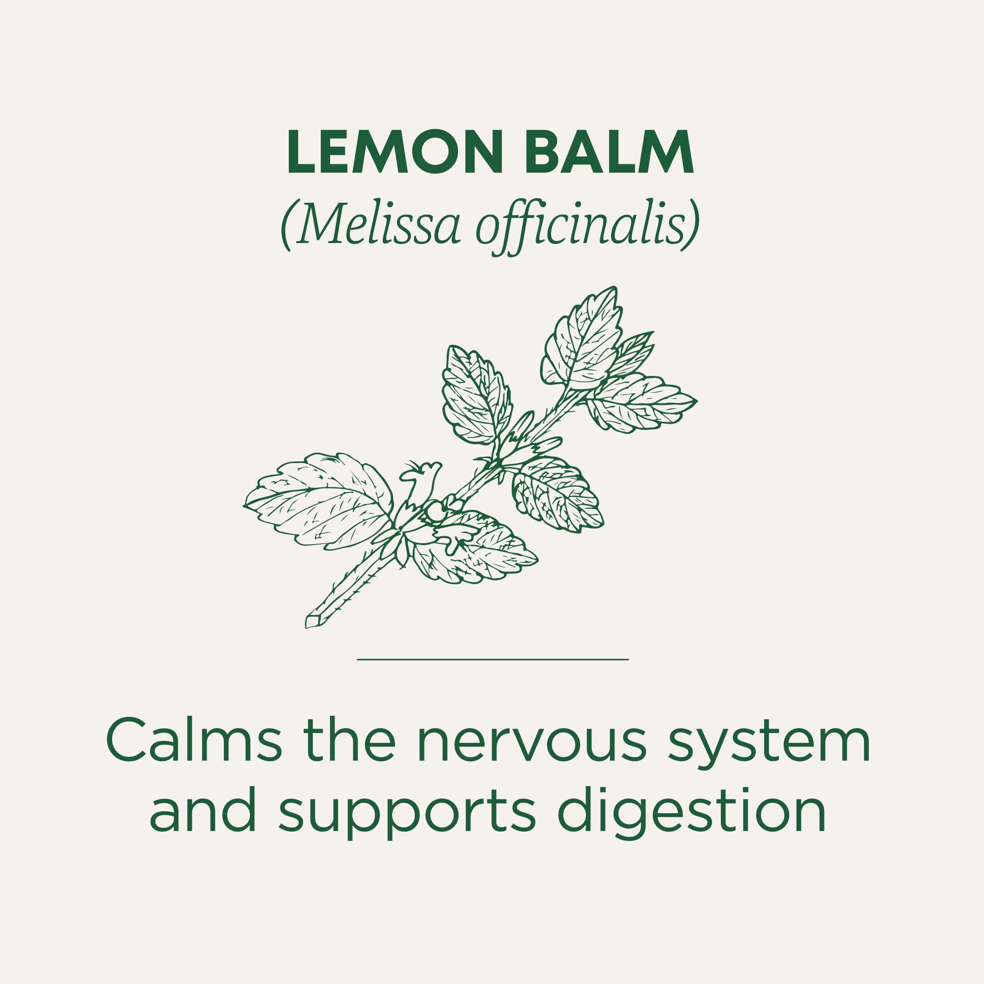 Traditional Medicinals Organic, Lemon Balm - Supports Stress Relief & Digestive Health - Kosher, Non-GMO, Caffeine-Free, Compostable - 16 Tea Bags - Image 5