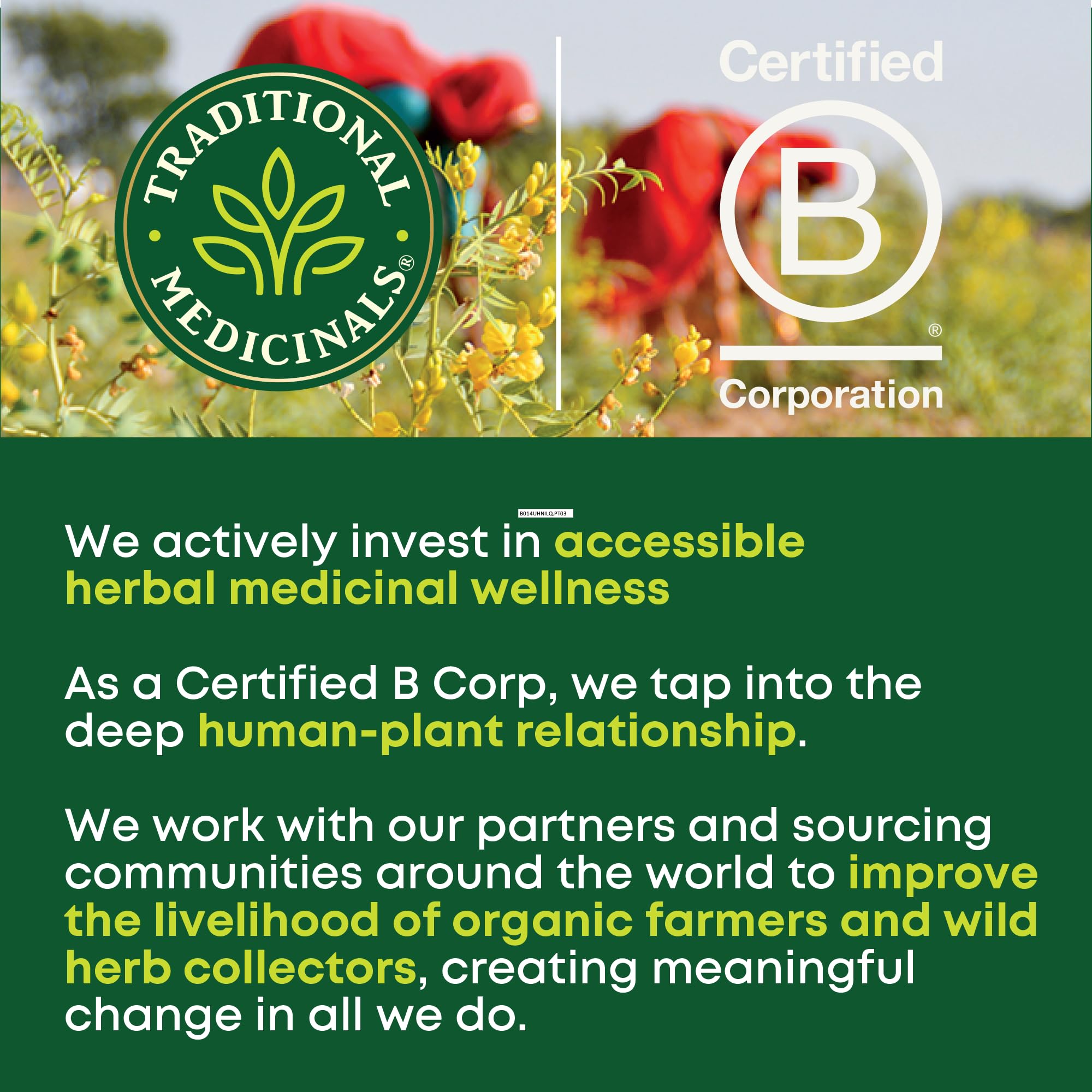 Traditional Medicinals Organic, Smooth Move Tea, Chamomile & Senna - Helps Relieve Constipation Overnight - Kosher, Non-GMO, Caffeine-Free, Compostable - 16 Tea Bags - Image 5