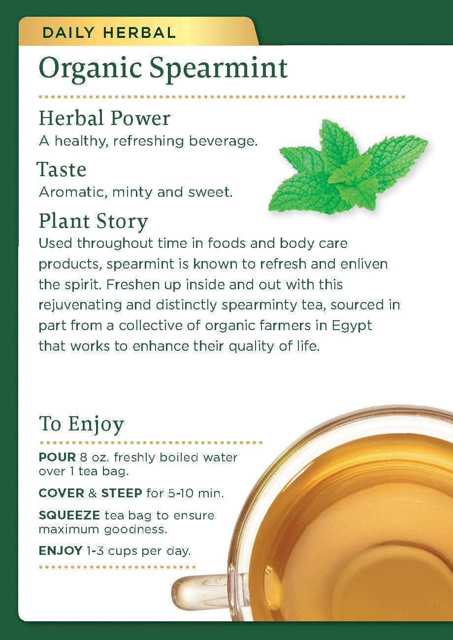 Traditional Medicinals Organic Spearmint Herbal Tea, Healthy & Refreshing, (Pack of 1) - 16 Tea Bags - Image 4