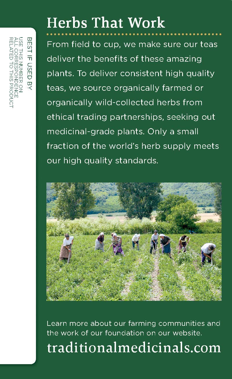 Traditional Medicinals Organic Spearmint Herbal Tea, Healthy & Refreshing, (Pack of 1) - 16 Tea Bags - Image 5