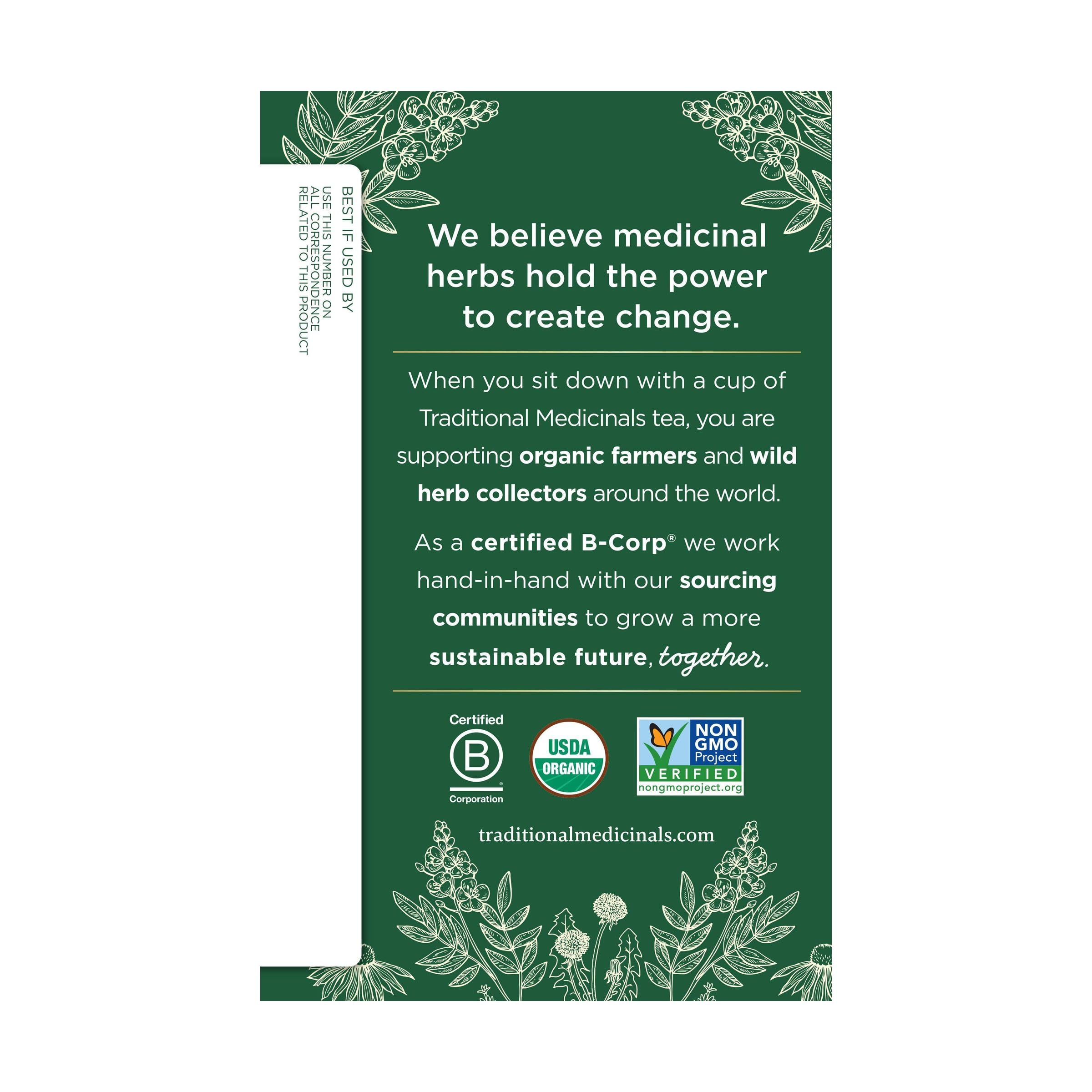 Traditional Medicinals Tea, Organic Ginger, Healthy Digestion, Pleasantly Spicy & Warming, 16 Tea Bags - Image 3